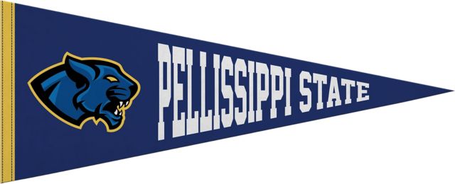 Pellissippi State Community College 12X30 Full Color Pennant