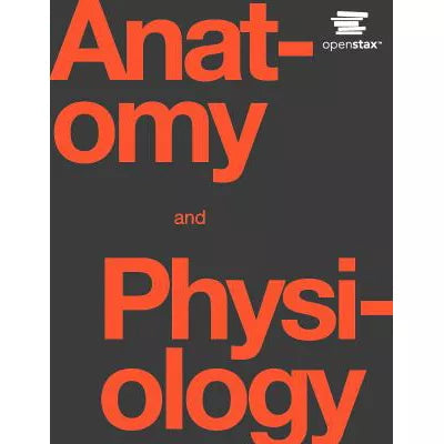 Anatomy & Physiology